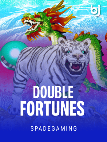 Double Fortunes icon